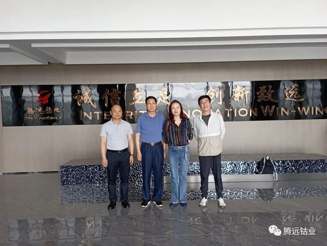 热烈欢迎赣州市企业联合会一行领导莅临意昂4钴业调研