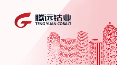 赣州腾驰新能源材料技术有限公司项目第二次公示