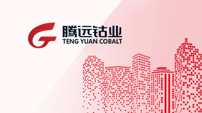 2025年12月环保公示